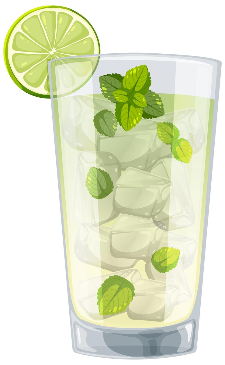 Vettore illustrazione rinfrescante del mojito alla menta