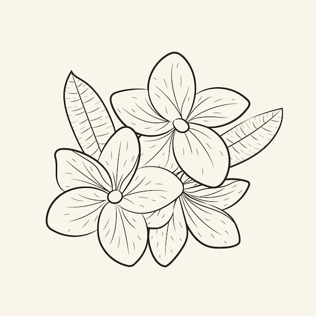 Illustrazione semplice del contorno di un fiore disegnata a mano