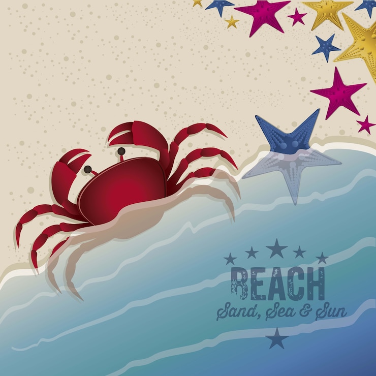Vettore illustrazione spiaggia