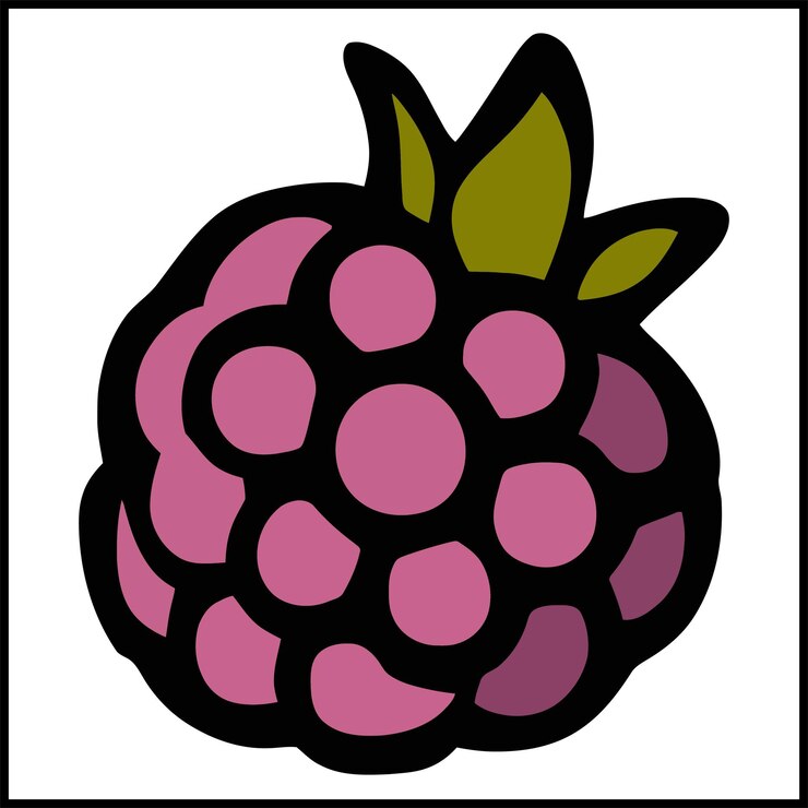 Vettore illustrazione vettoriale a colori di boysenberry