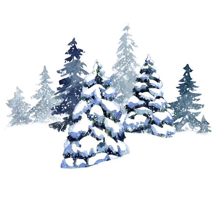 Vettore illustrazione vettoriale ad acquerello dipinta a mano di pini boschivi innevati isolati su sfondo bianco.