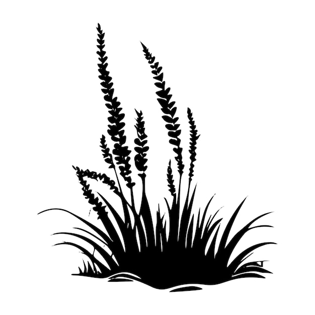 Illustrazione vettoriale botanica della silhouette della natura dell'erba