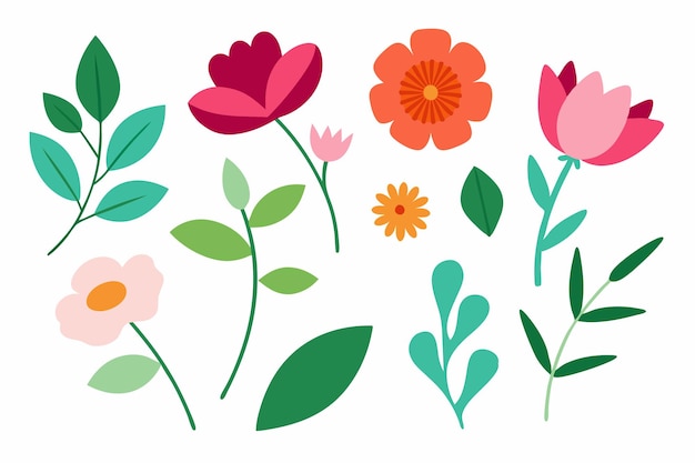 Illustrazione vettoriale botanica di foglie e fiori