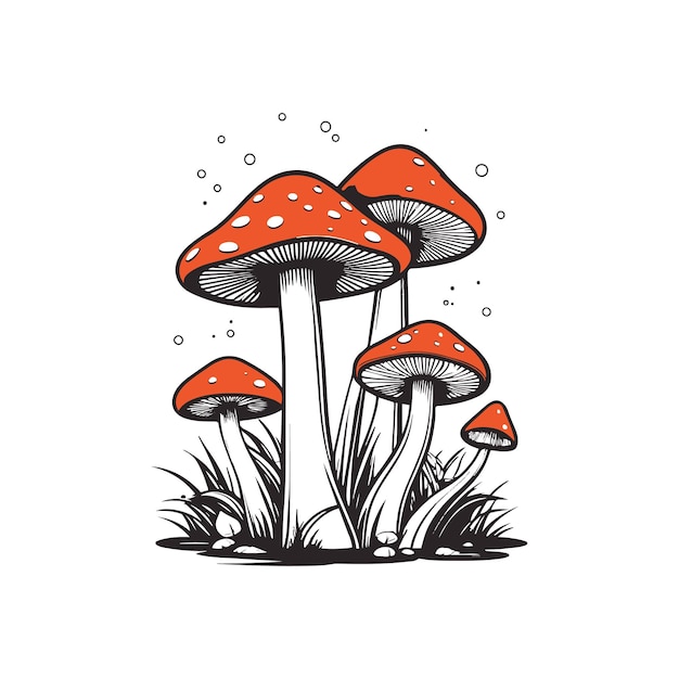 illustrazione vettoriale dei funghi