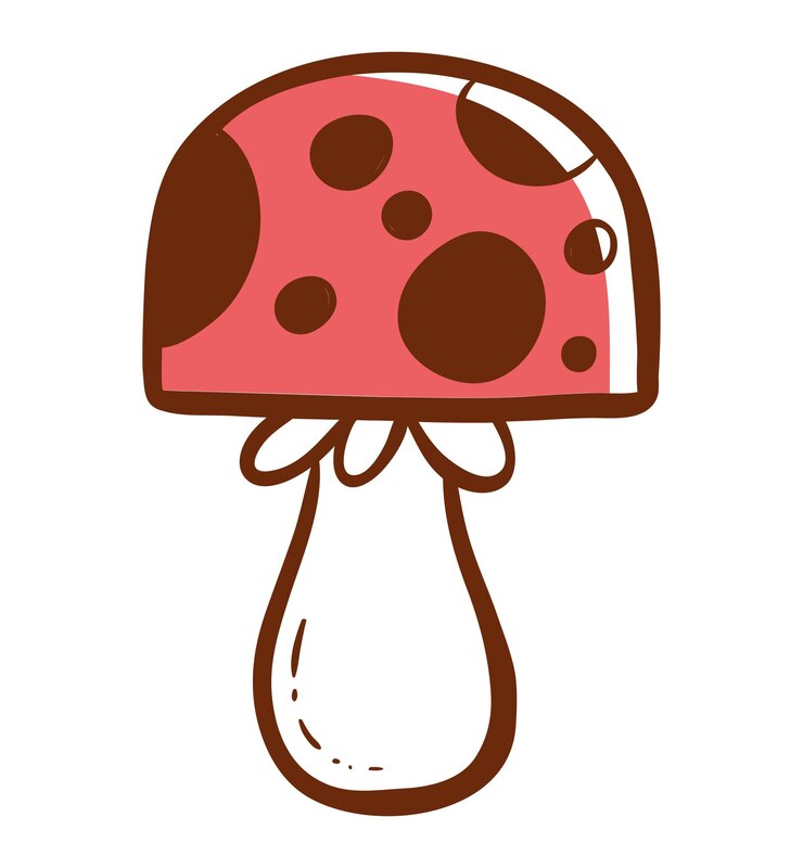 Vettore illustrazione vettoriale dei funghi