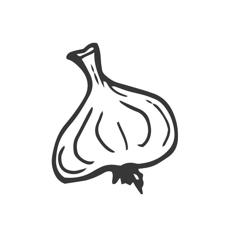 Vettore illustrazione vettoriale del contorno dell'aglio prodotto del mercato agricolo isolato vegetale inciso mazzetto di aglio