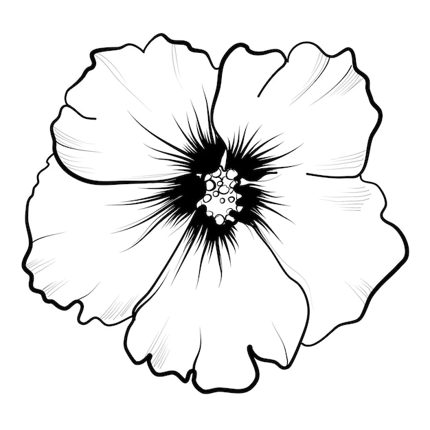 Illustrazione vettoriale del fiore di ibisco in fiore