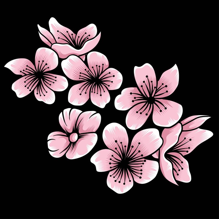 Illustrazione vettoriale del fiore di Sakura isolata su sfondo scuro