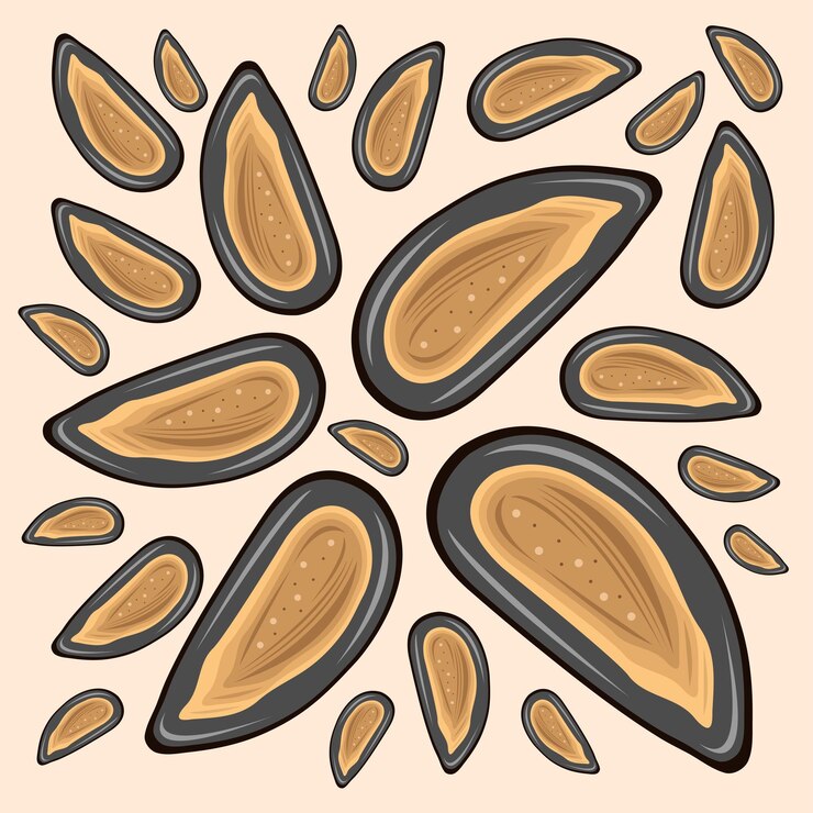 Vettore illustrazione vettoriale del guscio delle cozze di mare