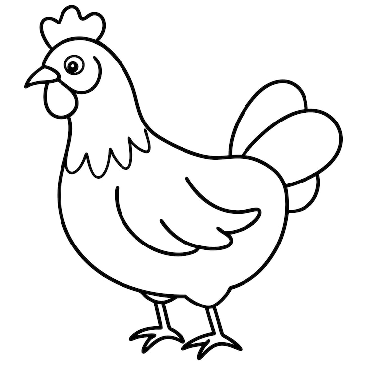 Vettore illustrazione vettoriale del pollo