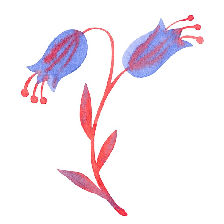 Illustrazione vettoriale dell'acquerello del fiore