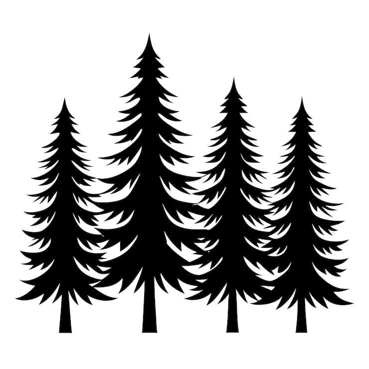 Vettore illustrazione vettoriale dell'albero di pino evergreen forest line art design