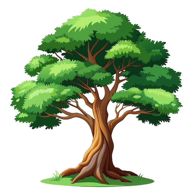 Illustrazione vettoriale dell'albero realistica isolata sullo schermo bianco