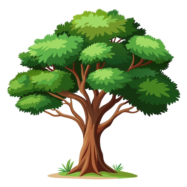 Illustrazione vettoriale dell'albero realistica isolata sullo schermo bianco
