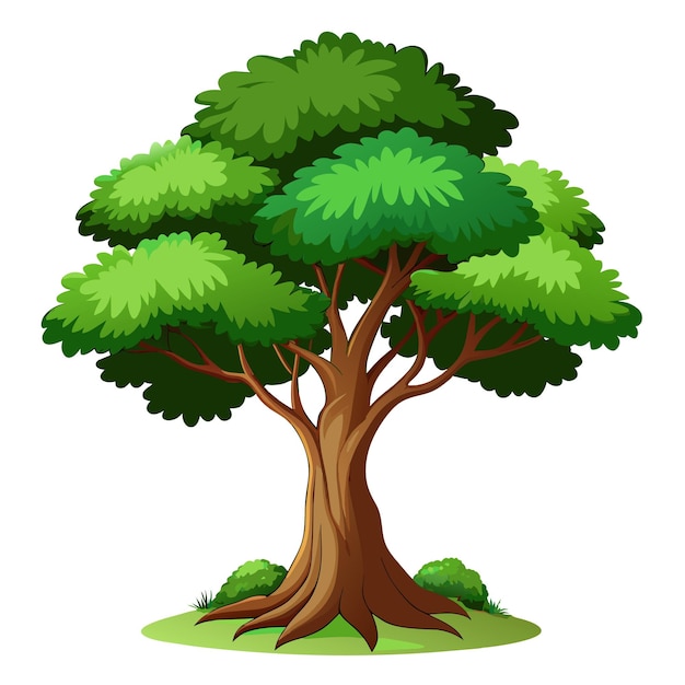 Illustrazione vettoriale dell'albero realistica isolata sullo schermo bianco