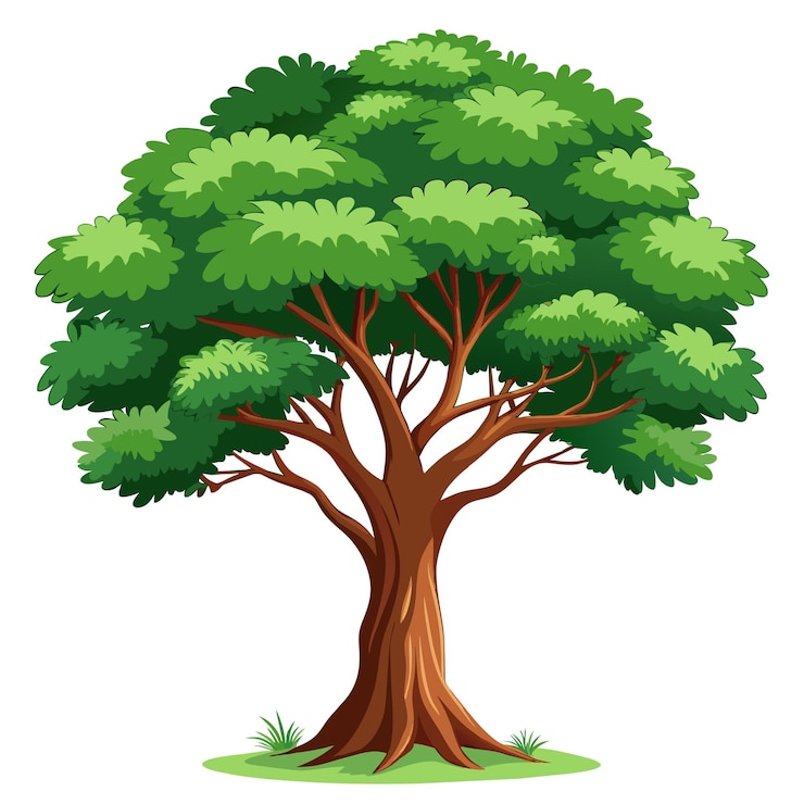 Vettore illustrazione vettoriale dell'albero realistica isolata sullo schermo bianco