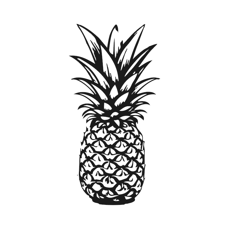 Vettore illustrazione vettoriale dell'ananas