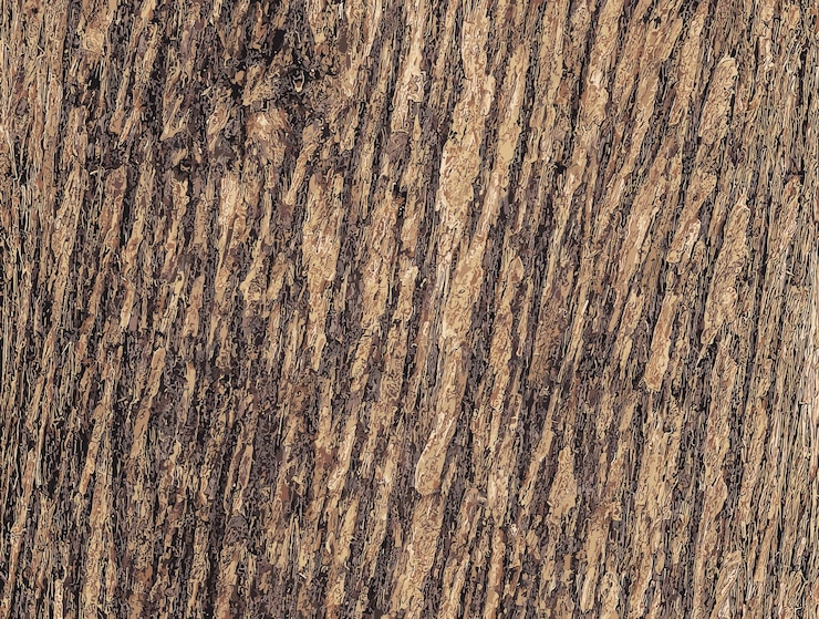 Vettore illustrazione vettoriale della consistenza della corteccia di juniperus virginiana