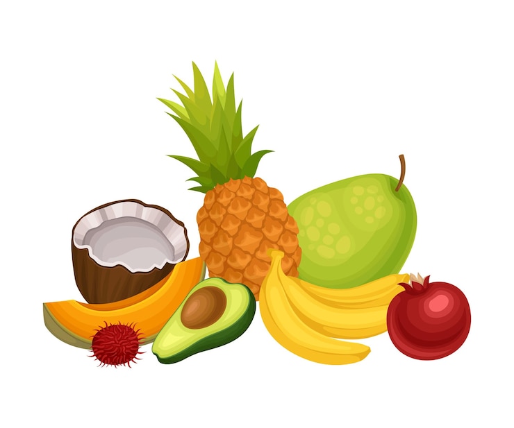 Vettore illustrazione vettoriale della disposizione o della composizione di frutti esotici misti