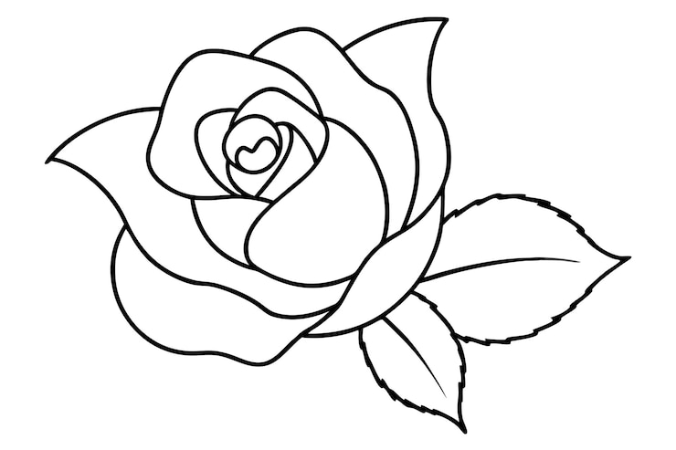 Vettore illustrazione vettoriale della linea di foglie di rosa