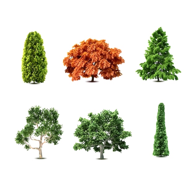 illustrazione vettoriale della raccolta di set vettoriali di progettazione dell'albero