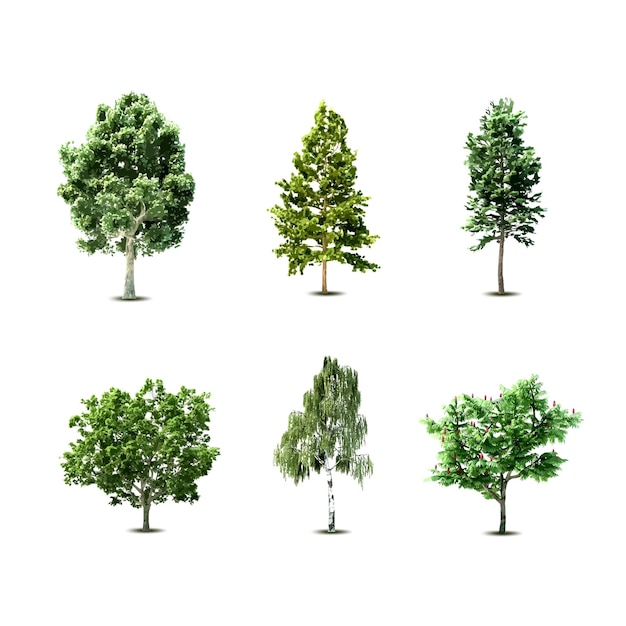 illustrazione vettoriale della raccolta di set vettoriali di progettazione dell'albero
