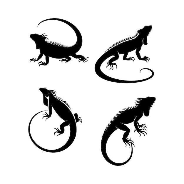 Illustrazione vettoriale della silhouette di iguana su sfondo bianco