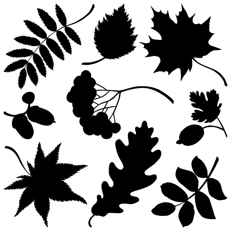 Illustrazione vettoriale della silhouette nera di foglie e bacche isolate su sfondo bianco