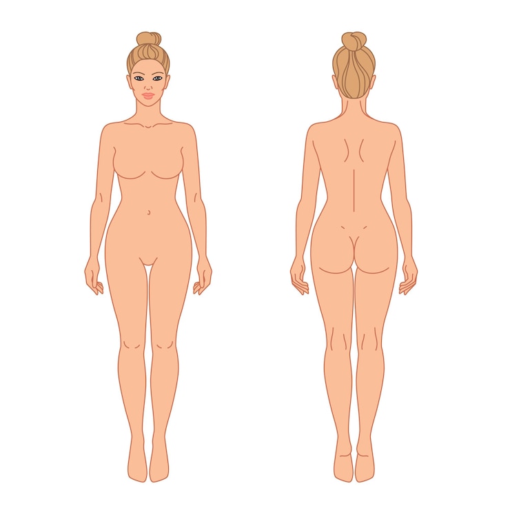 Vettore illustrazione vettoriale della vista anteriore e posteriore del corpo della donna ragazza del modello di contorno della linea di contorno isolata
