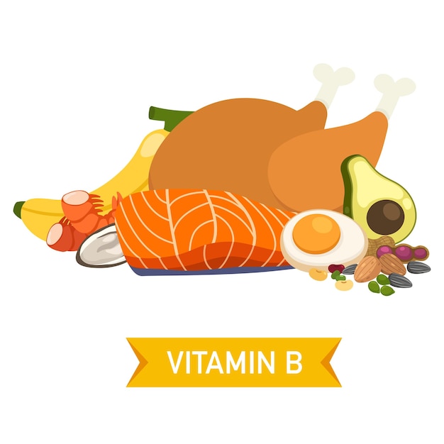 Illustrazione vettoriale delle fonti alimentari di vitamina B
