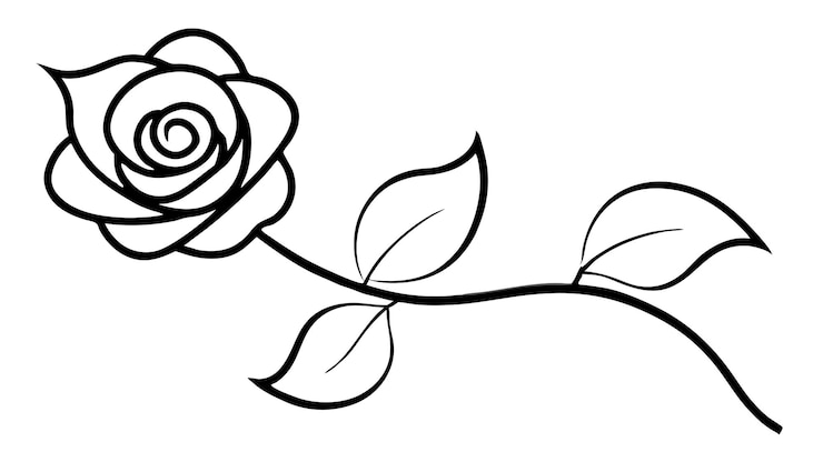 Vettore illustrazione vettoriale delle silhouette degli elementi floreali