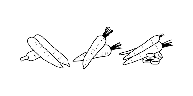 Illustrazione vettoriale di carota doodle tre diverse forme