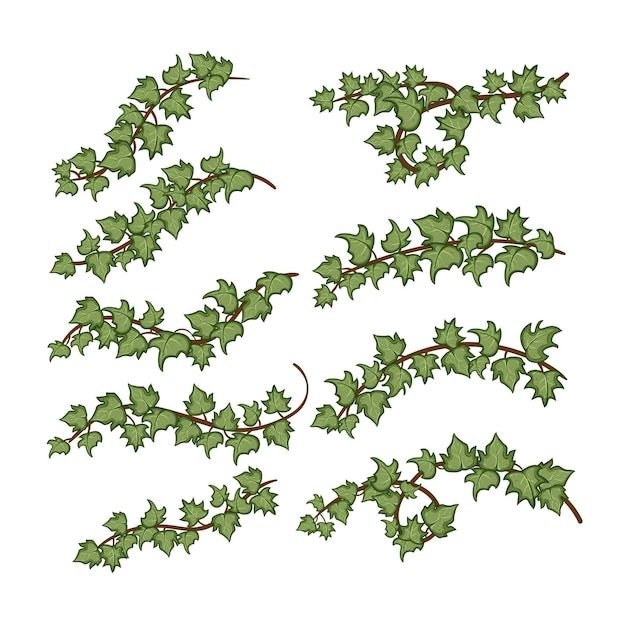 illustrazione vettoriale di cartoni animati green ivy set