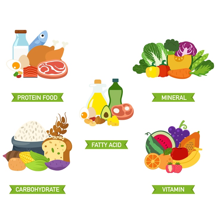 Vettore illustrazione vettoriale di cinque gruppi alimentari