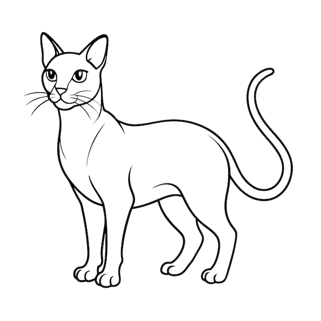 Illustrazione vettoriale di contorno realistico di un popolare gatto domestico