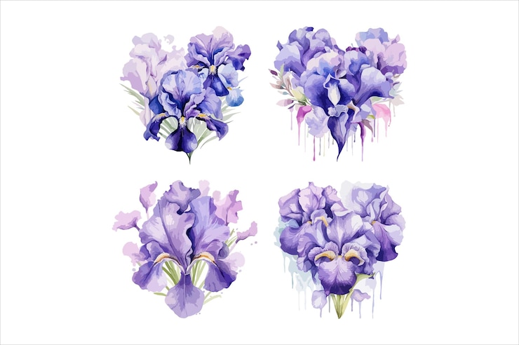Vettore illustrazione vettoriale di fiori a forma d'amore ad acquerello su sfondo bianco