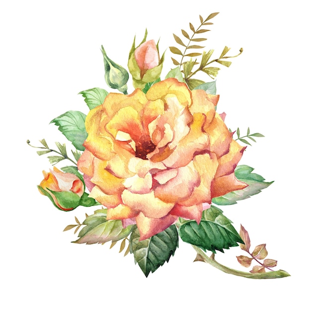 Illustrazione vettoriale di fiori di rosa crisantemo ibisco EPS