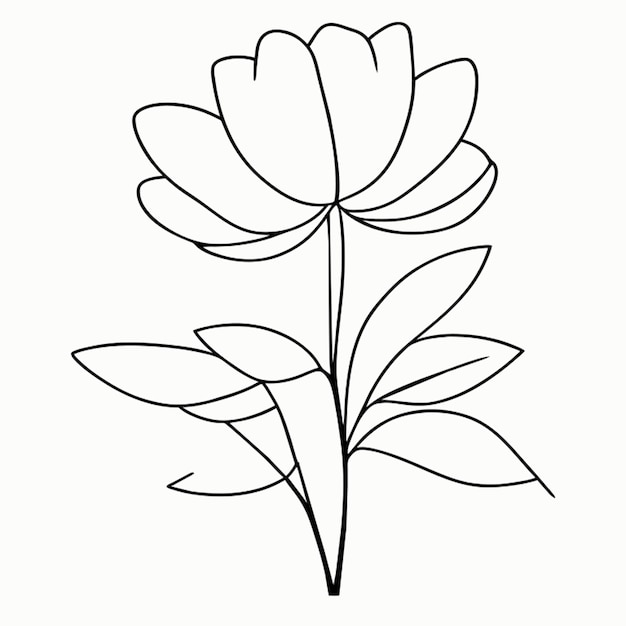 illustrazione vettoriale di fiori line art