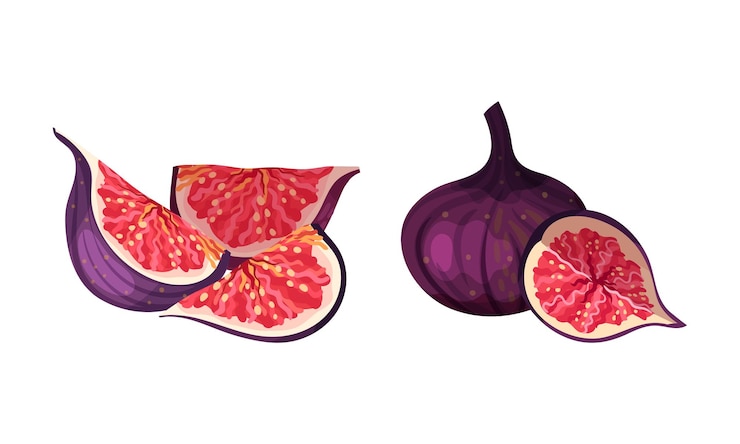 Vettore illustrazione vettoriale di frutta tropicale fresca, matura e deliziosa.