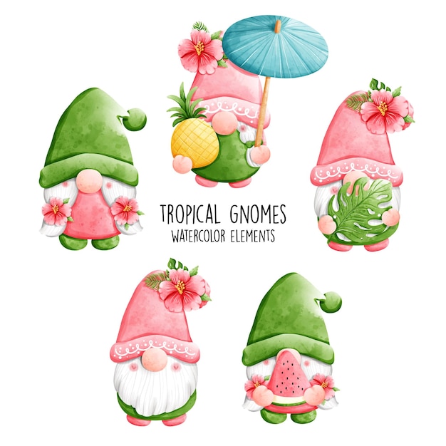 Illustrazione vettoriale di gnomi tropicali dell'acquerello