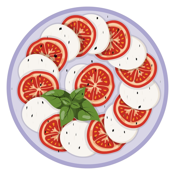 Vettore illustrazione vettoriale di insalata caprese su sfondo bianco