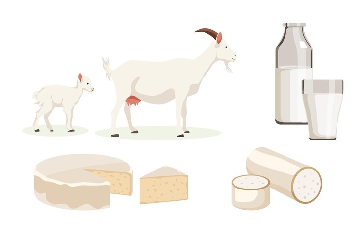 Vettore illustrazione vettoriale di latte e formaggio di capre bianche di casa su sfondo bianco fattoria con prodotti naturali in stile cartone animato
