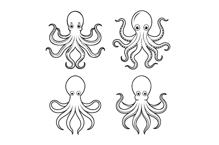 Vettore illustrazione vettoriale di line art di polpo