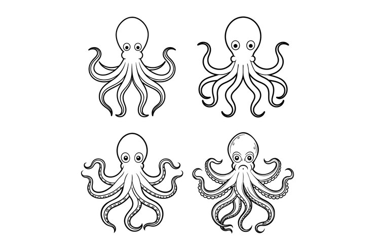 Vettore illustrazione vettoriale di line art di polpo