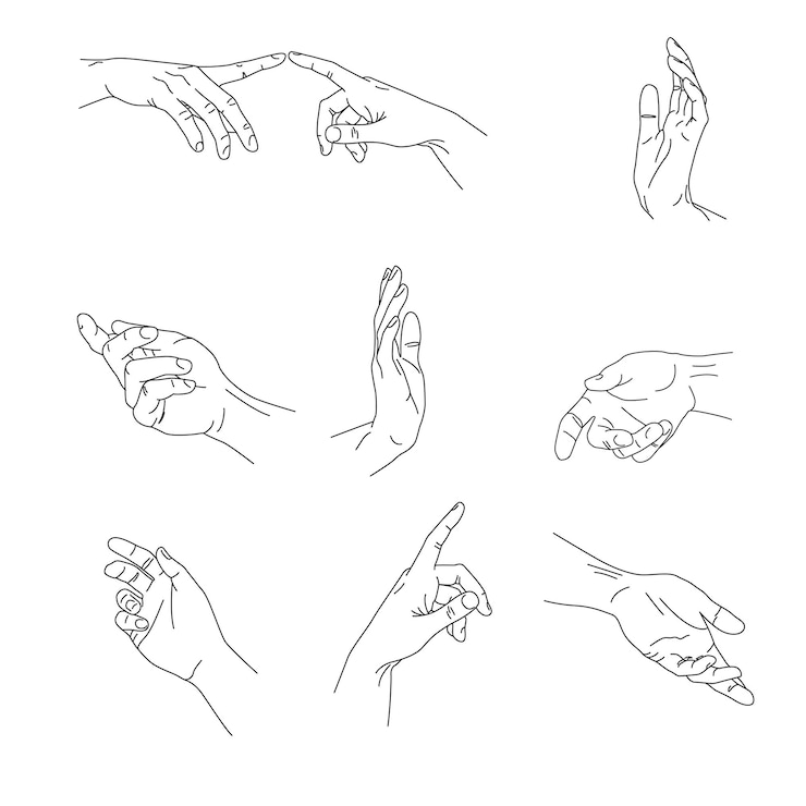 Vettore illustrazione vettoriale di mani di diversi gesti in semplice stile minimalista