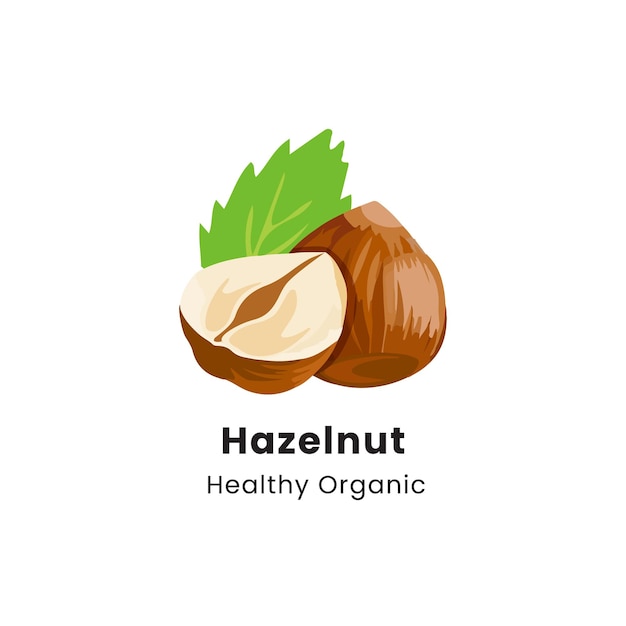 Illustrazione vettoriale di nocciole intere e mezze nocciole marroni su sfondo bianco