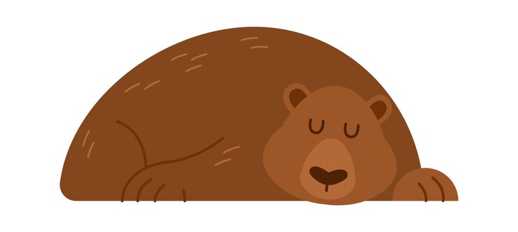 Vettore illustrazione vettoriale di orso addormentato disegnato a mano