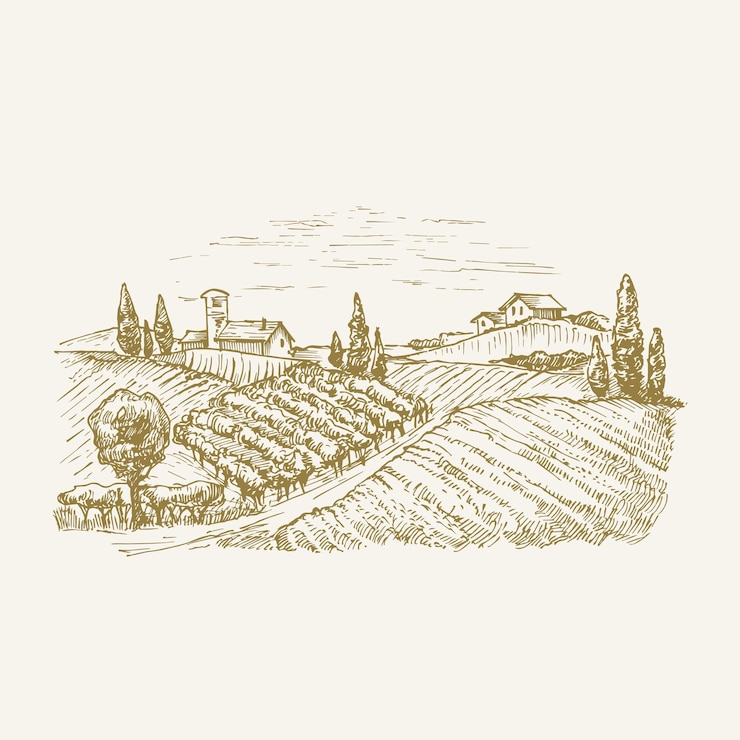 Illustrazione vettoriale di paesaggio disegnato a mano vigneto e fattoria con capanne fienili e alberi edificio rurale...