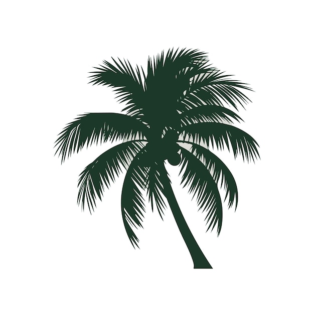 Illustrazione vettoriale di palme