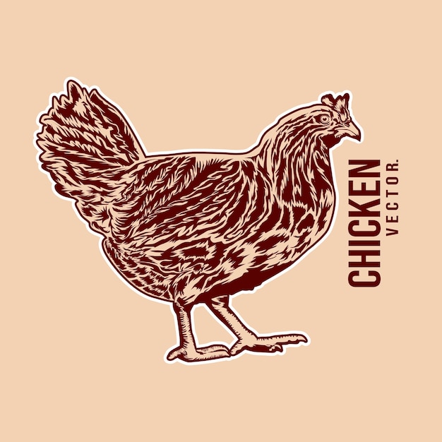 Illustrazione vettoriale di pollo